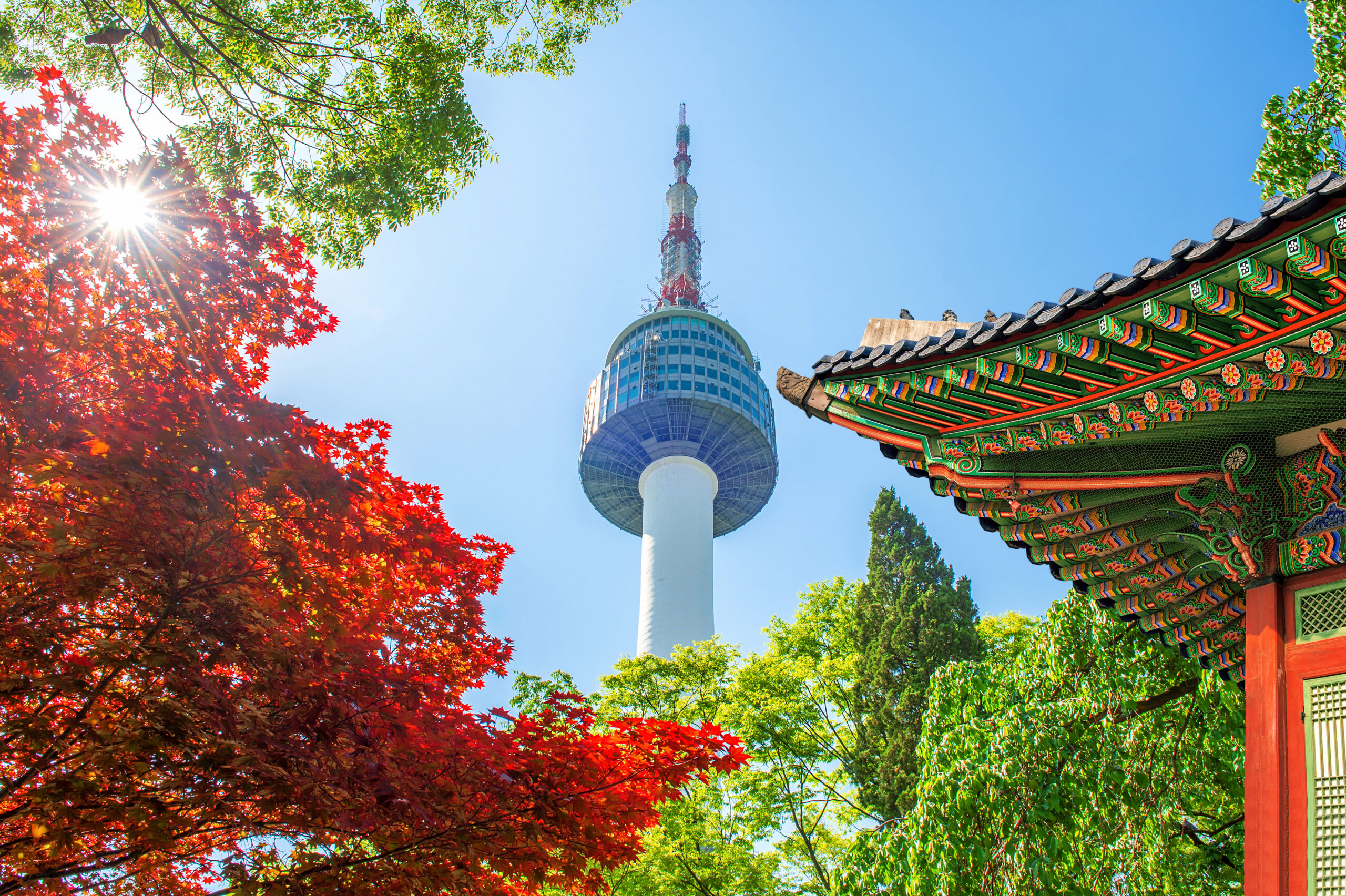 Visa & Travel Services seoul tower with gyeongbokgung roof red autumn maple leaves namsan mountain south korea scaled